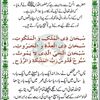 muneerahmad9460