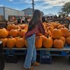 tayloryocco