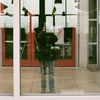 vspringerphotos