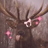 forestwitch6969