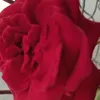 hoahnghoahng3