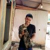 aldi.alfansyah2