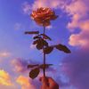 peonygirl5