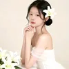 tieu_lam_lam
