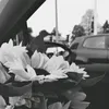 fatom.li33