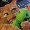 _pehhhhhh05