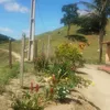 Roça 🤠🌱