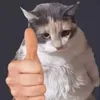 hayooyoooo