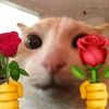 mana_chanal