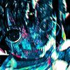k1l0novaa