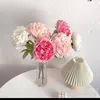 hoamauhtbci