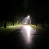 t_okli_