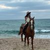 anael_bichler