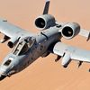 a10gobrrrrrrrrrrt