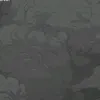 random_account667744588