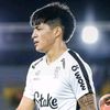 fidealejandro1