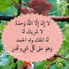 user7728744468072