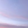 free_land_01
