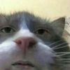 not_carter_pc