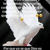 adelinaramos62