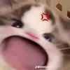 ngocdiepnn59722