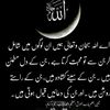 mskhan6591