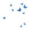 marwa_mohammed13