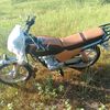 user7919926550139