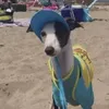 userlqsx8lsv5h