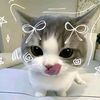ndaaaxy_