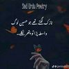 mirzarizwan387