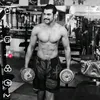 fz_t22