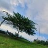 dea.ismaq