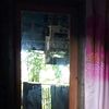aldialfansyah4