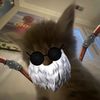 archieesgopm