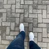 sipamm_