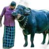 Karyasthan