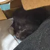 kitkat3_
