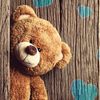teddys883