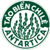 taobienchileantartica