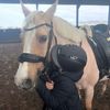 joy.the.horses