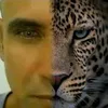 jaguarsantos2
