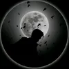 aliaali7375