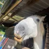 phoebe_xx18
