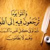 mohamed.3amer76