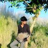 user522092708