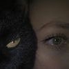 kattlangdon