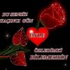 user2595207125500