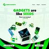 aseed_gadget