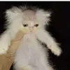 ____wadiyatalkinabeet___